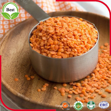 Split Red Lentils and Whole Red Lentil